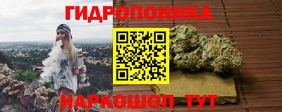 крисы Гусиноозёрск