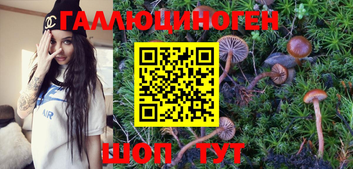 Галлюциногенные грибы Psilocybine cubensis Грязи
